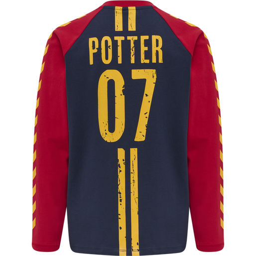 hmlHARRY POTTER BOYS T-SHIRT L/S, SCARLET SAGE, packshot