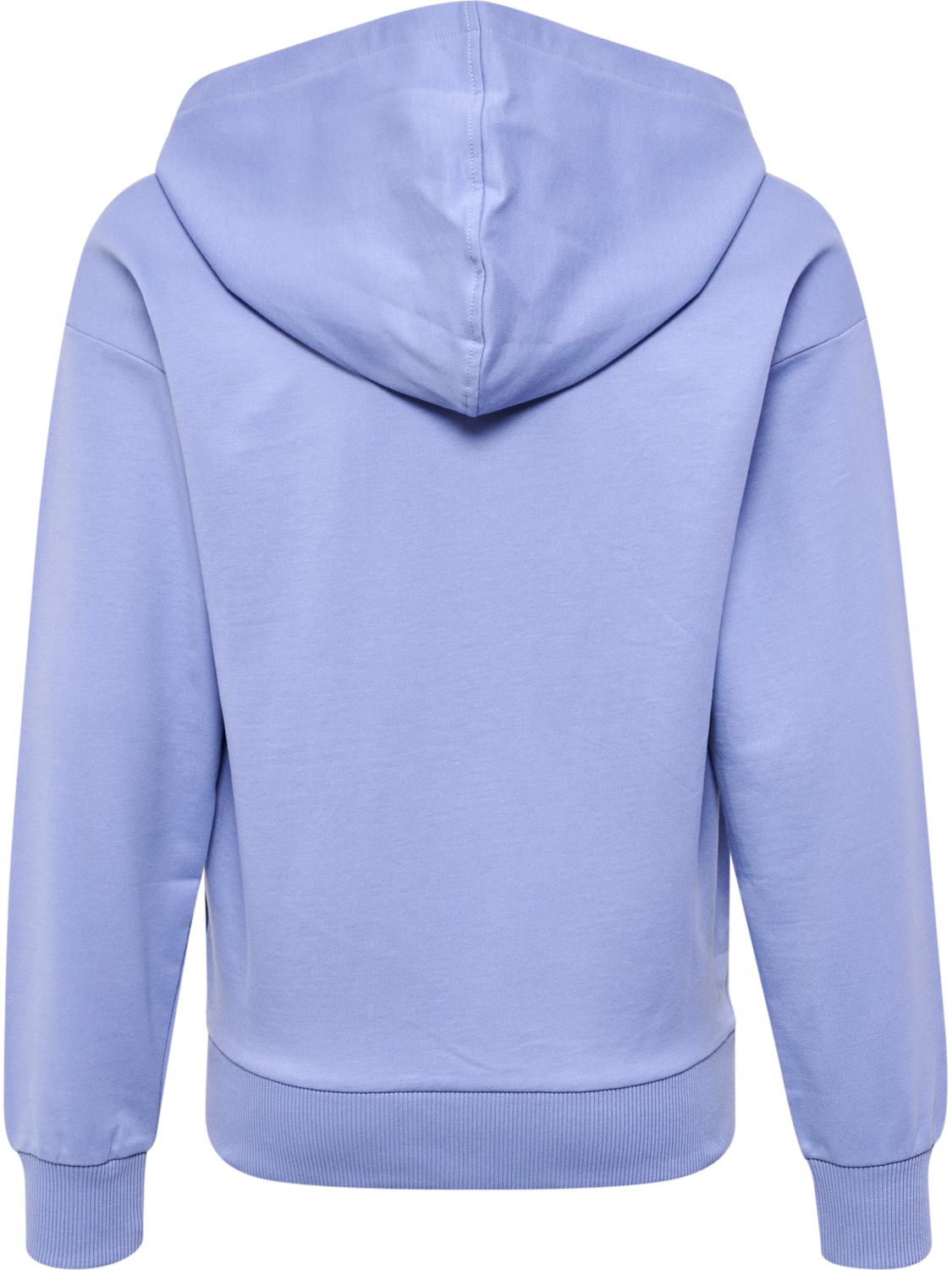 HMLLEIDEN HOODIE, 1049, packshot