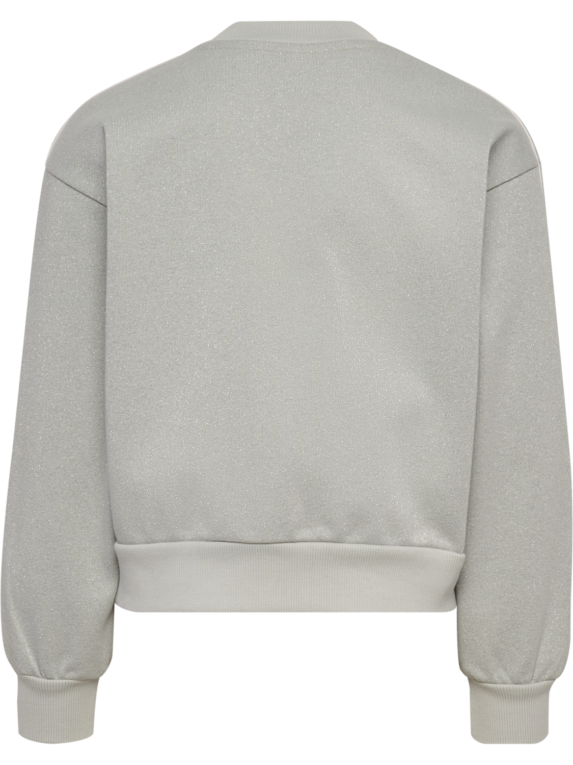 hmlJR LOOSE GLITTER CREWNECK, HIGH RISE, packshot