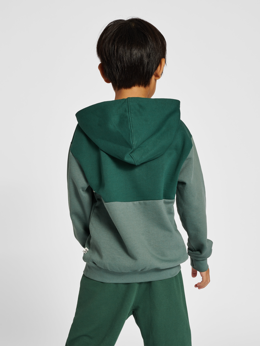 hmlMORTEN HOODIE, 6041, model