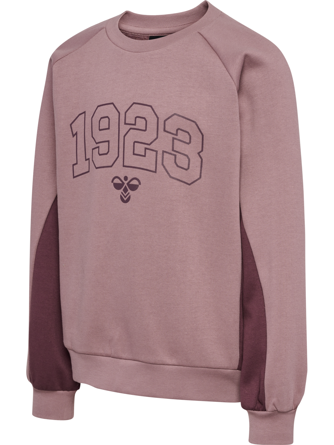 hmlKANNA SWEATSHIRT, TWILIGHT MAUVE, packshot