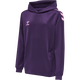 ACAI