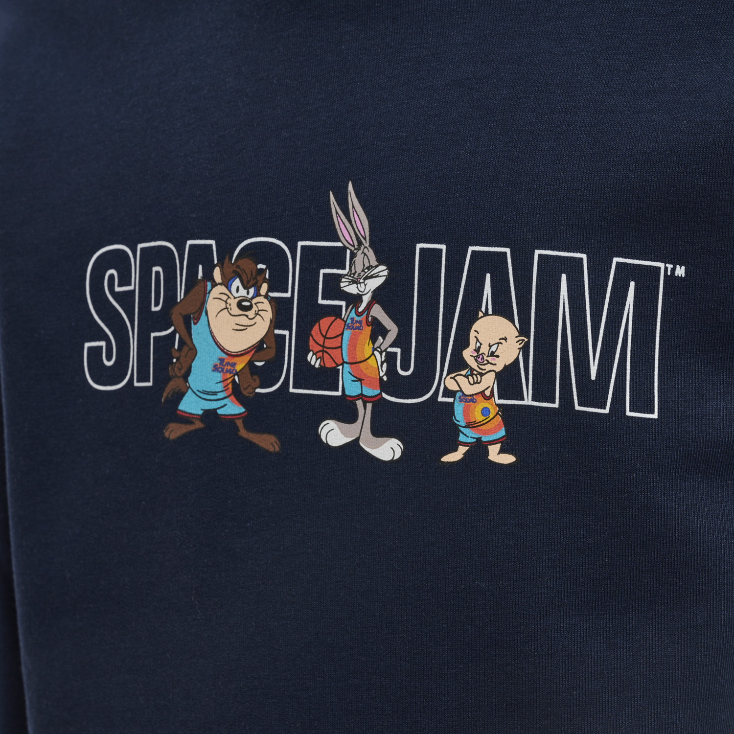 hmlSPACE JAM CUATRO HOODIE, BLACK IRIS, packshot