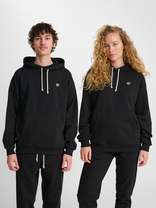 hmlLOOSE HOODIE BEE, BLACK, model