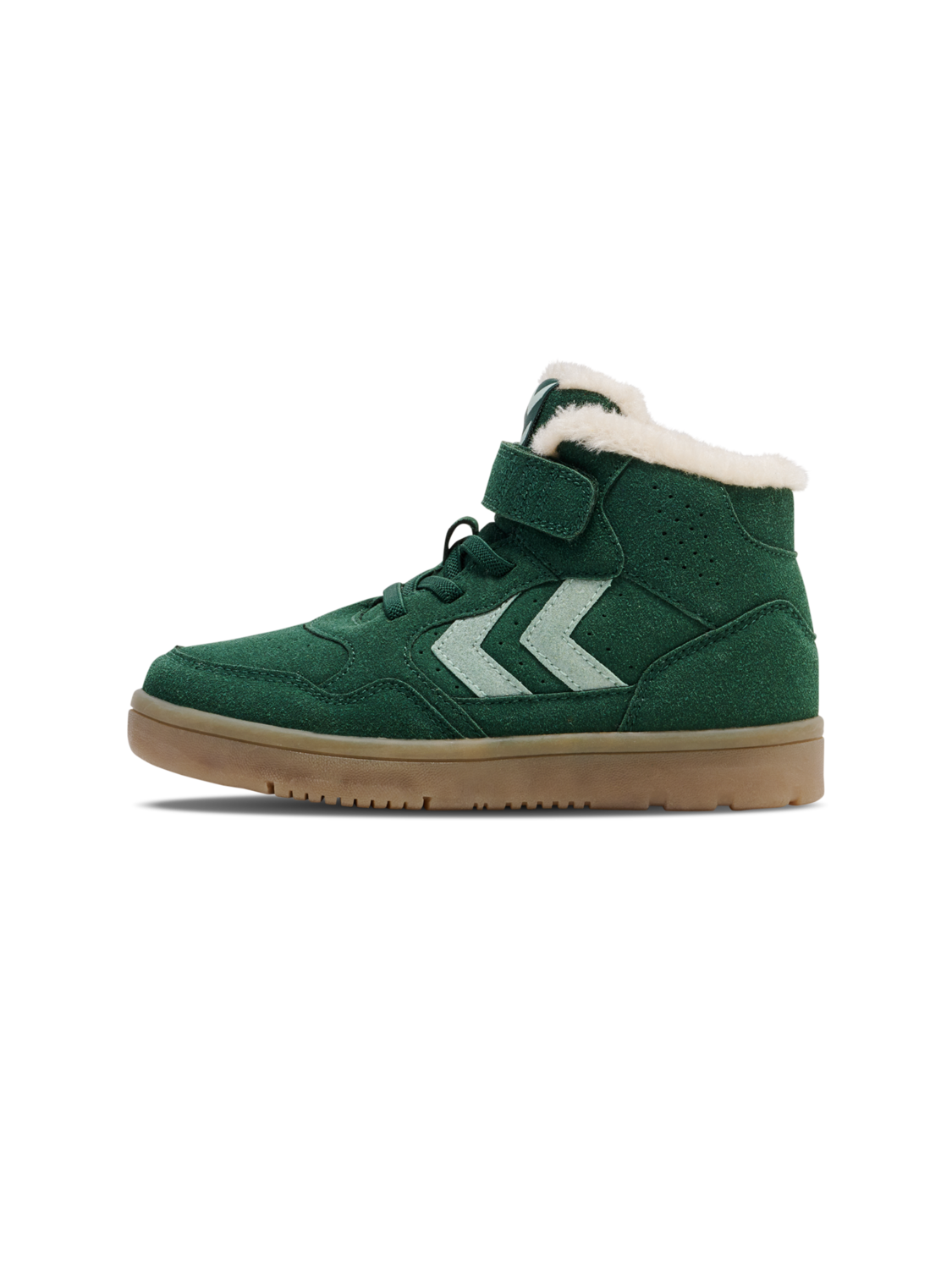 CAMDEN WINTER HIGH JR, GARDEN TOPIARY, packshot