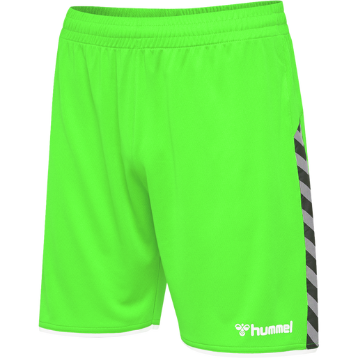 hmlAUTHENTIC KIDS POLY SHORTS, GREEN GECKO, packshot