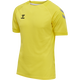 BLAZING YELLOW