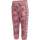 NOSTALGIA ROSE