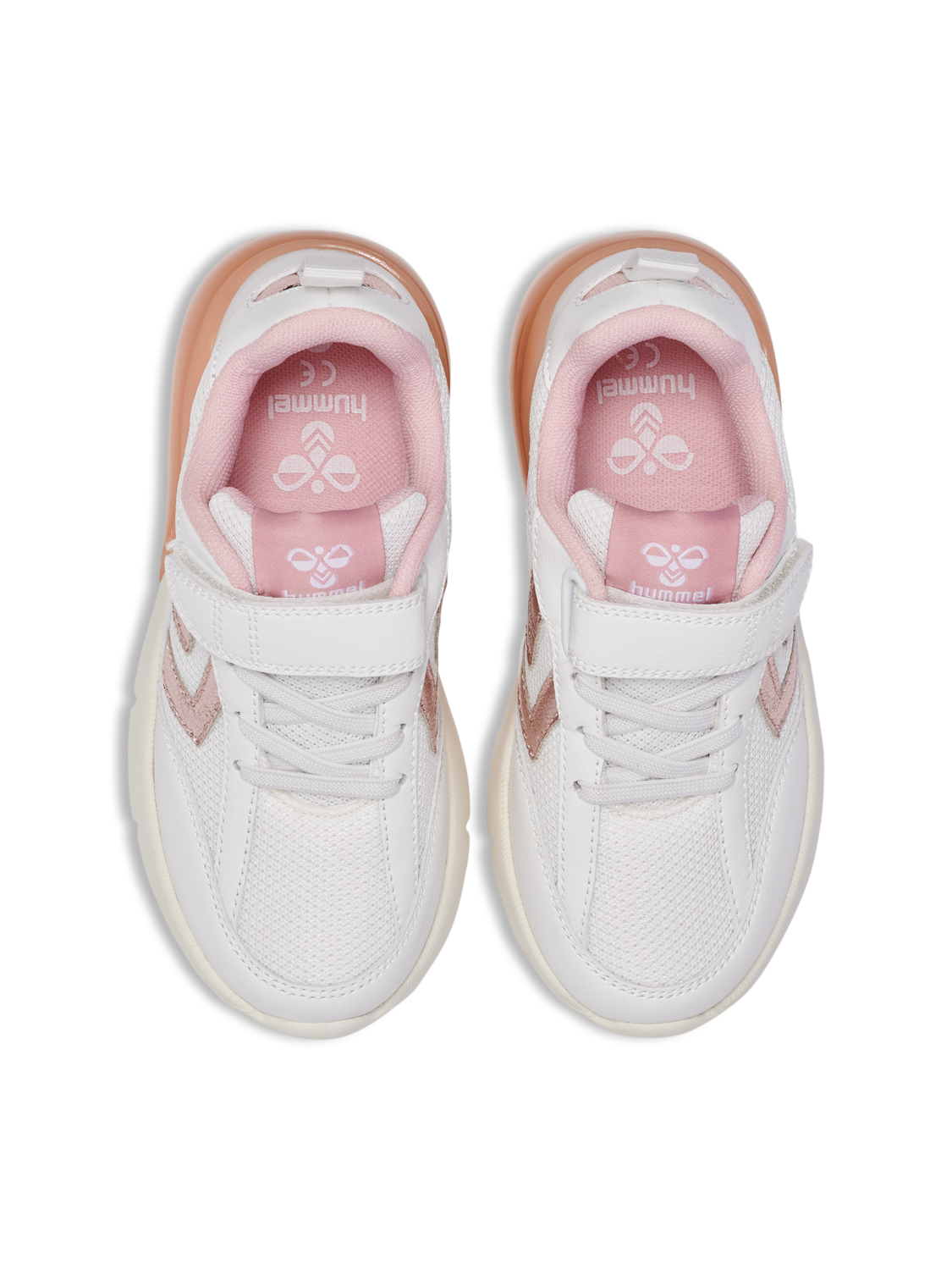 DAYLIGHT JR, BRIDAL ROSE, packshot