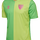 GREEN GECKO UNSPONSORED
