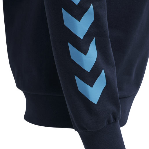 hmlACTION COTTON HOODIE, 8553, packshot