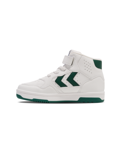 CAMDEN HIGH JR, GARDEN TOPIARY, packshot